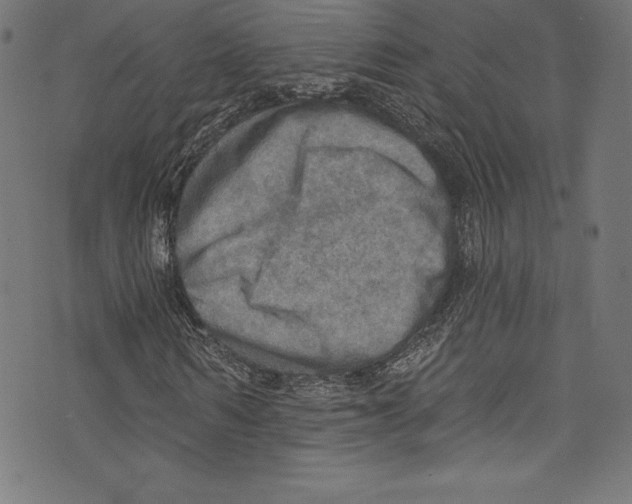 X0000072970962200608211318