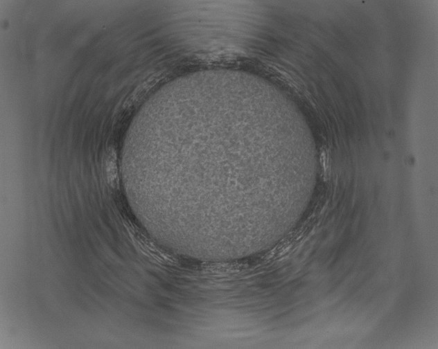 X0000072970963200608211318