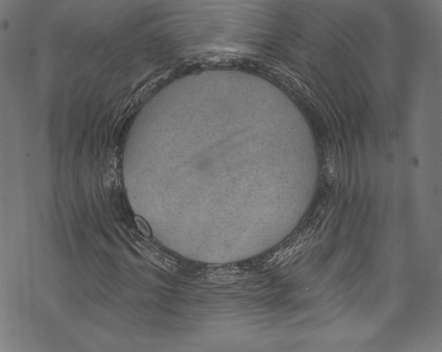 X0000072970964200608211318