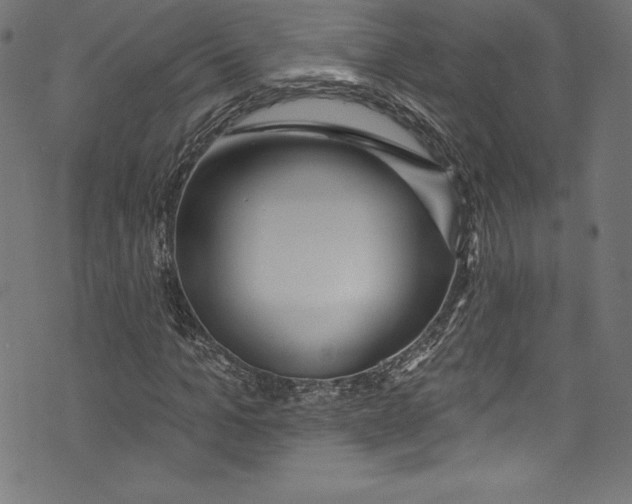 X0000072970965200608211318