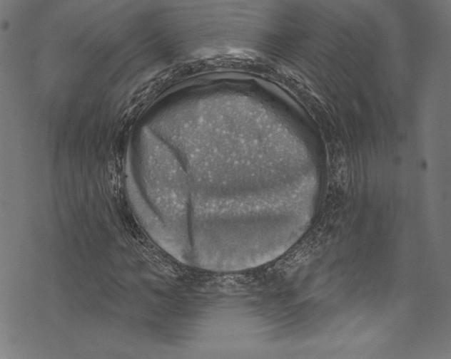 X0000072970966200608211318