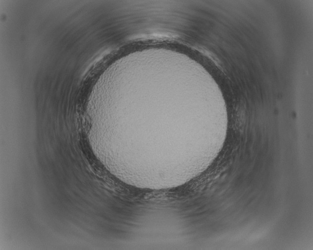 X0000072970967200608211318