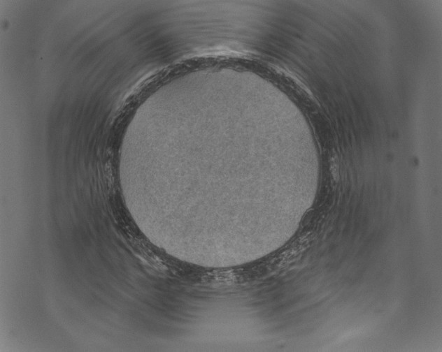 X0000072970968200608211318