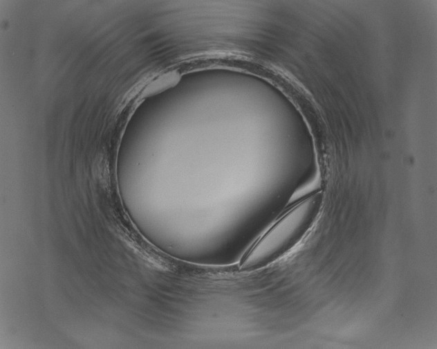 X0000072970969200608211318