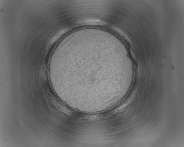 X0000072970970200608211318