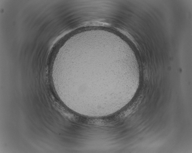 X0000072970971200608211318