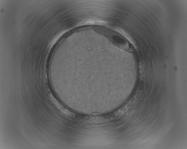 X0000072970972200608211318