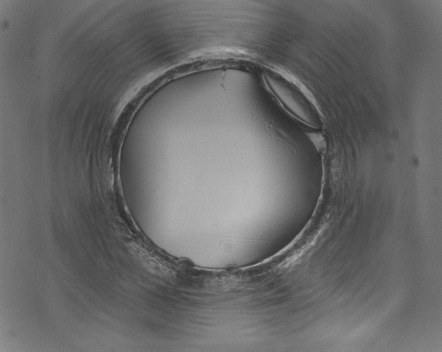 X0000072970973200608211318