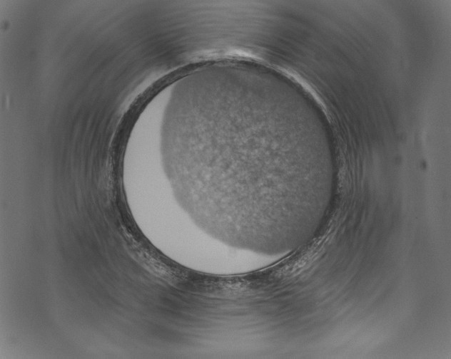 X0000072970975200608211317