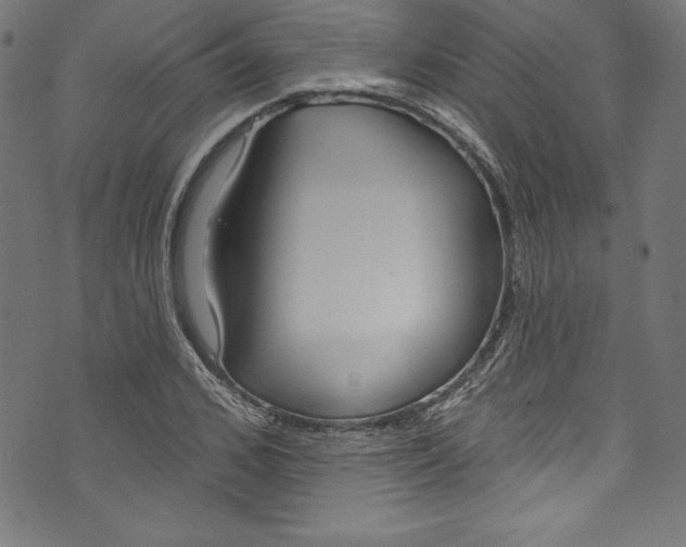 X0000072970976200608211317