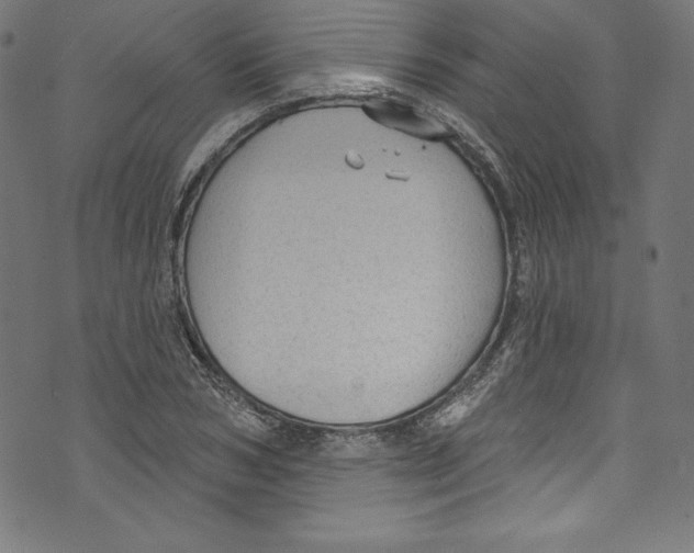 X0000072970978200608211317