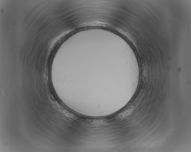 X0000072970979200608211317