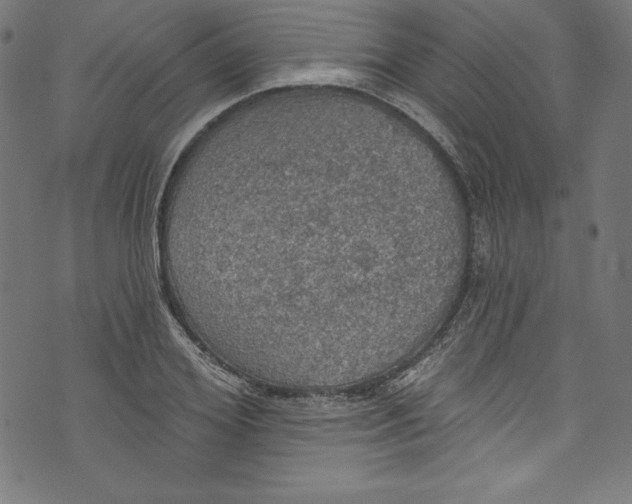 X0000072970980200608211317