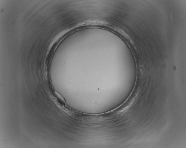 X0000072970981200608211317