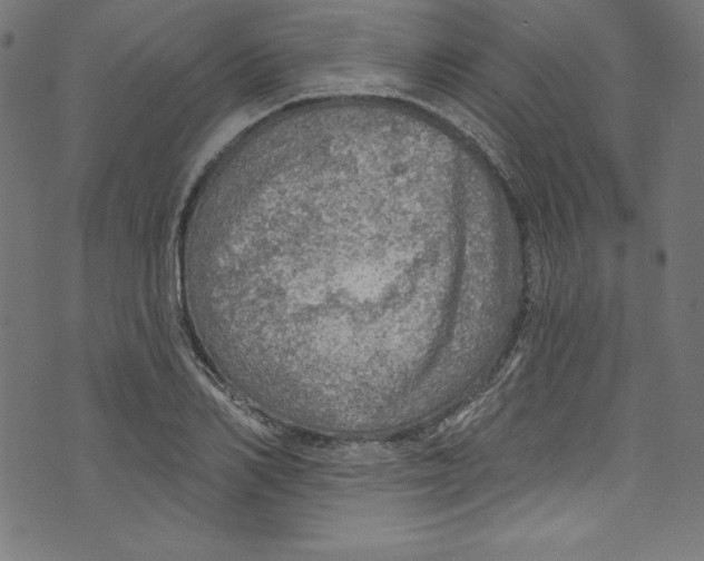 X0000072970982200608211317