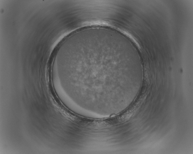 X0000072970983200608211317