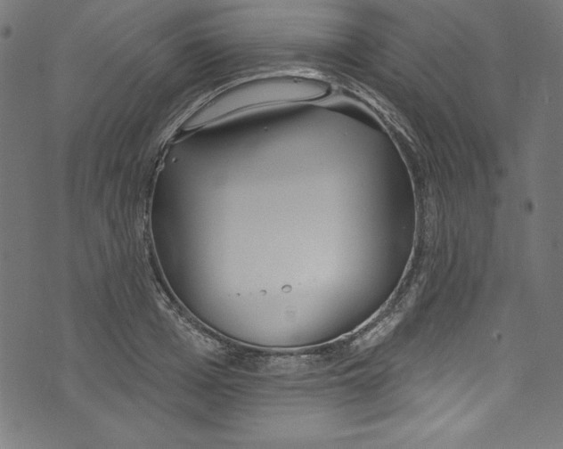 X0000072970985200608211317