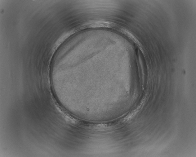 X0000072970986200608211317