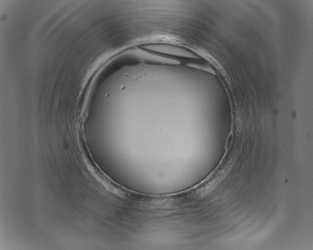 X0000072970989200608211317