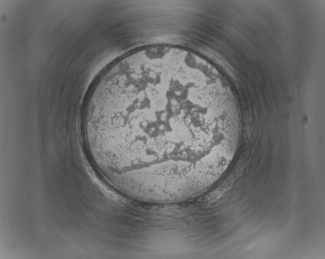 X0000072970991200608211317