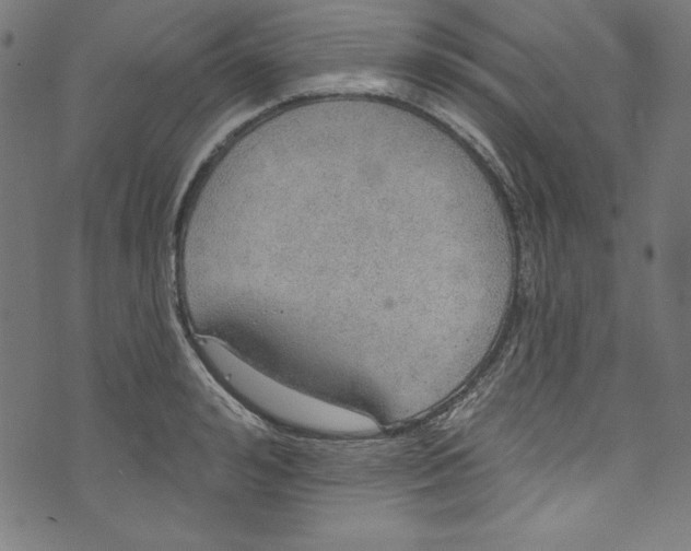 X0000072970992200608211317