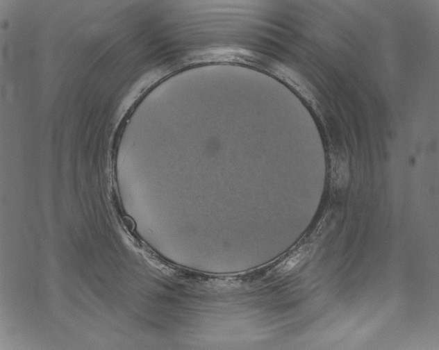 X0000072970994200608211317