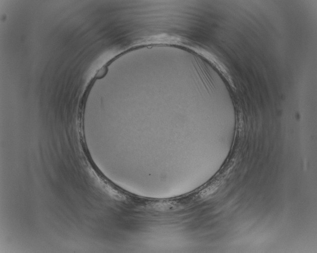 X0000072970998200608211317