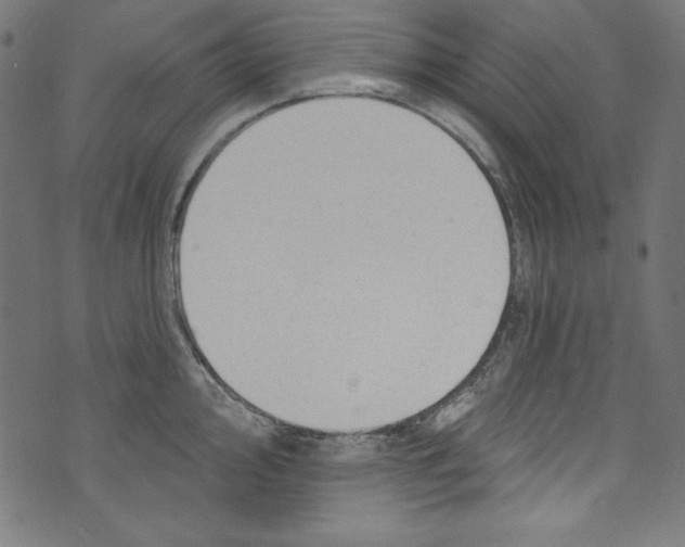 X0000072971000200608211317