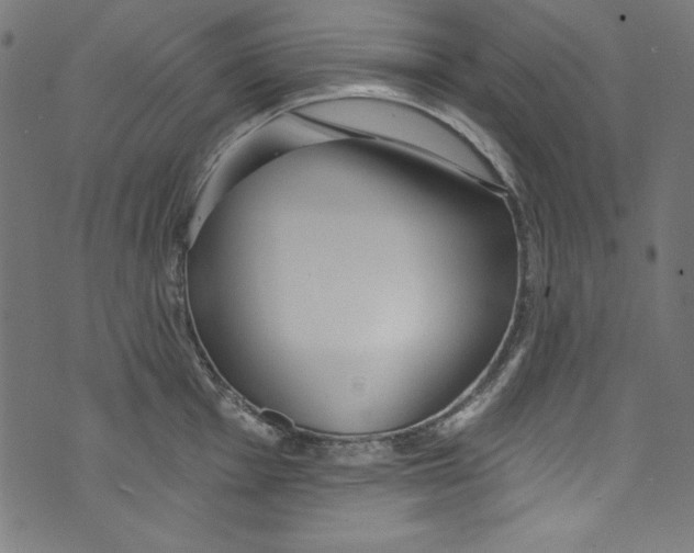 X0000072971001200608211317