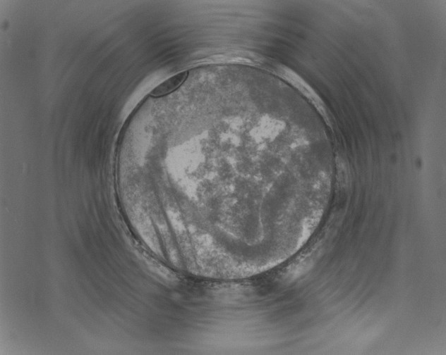 X0000072971002200608211317