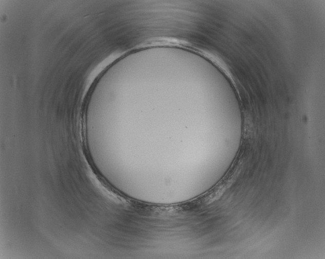 X0000072971003200608211317