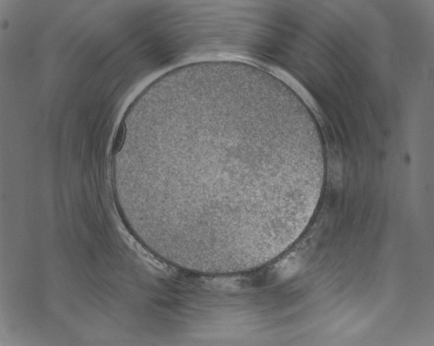 X0000072971004200608211317