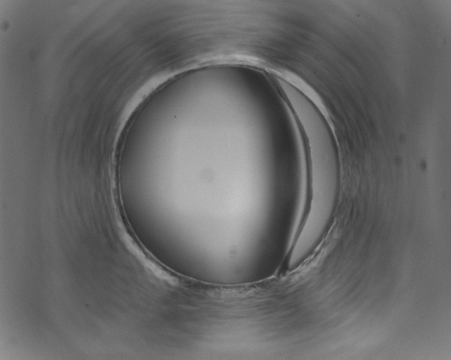 X0000072971005200608211317