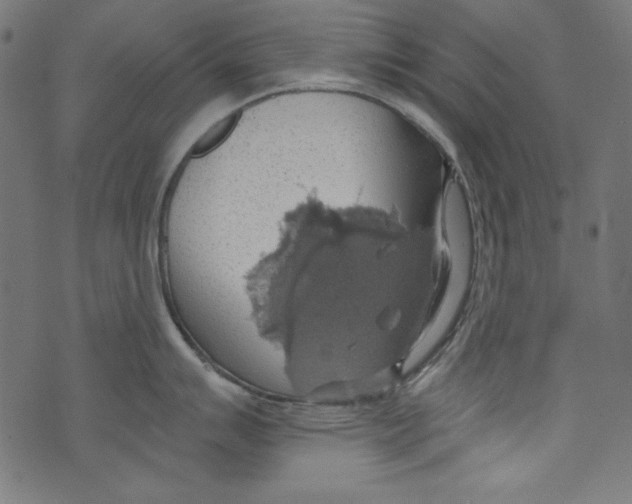 X0000072971007200608211317