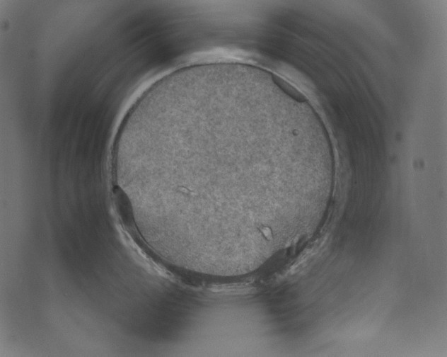 X0000072971008200608211317