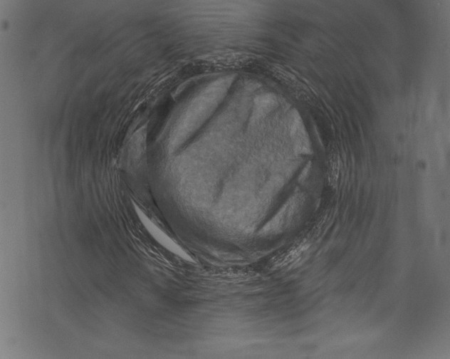 X0000072971010200608211316