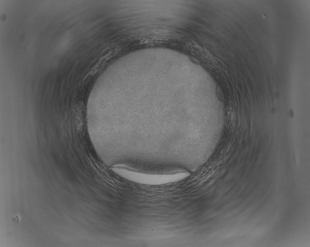 X0000072971012200608211316