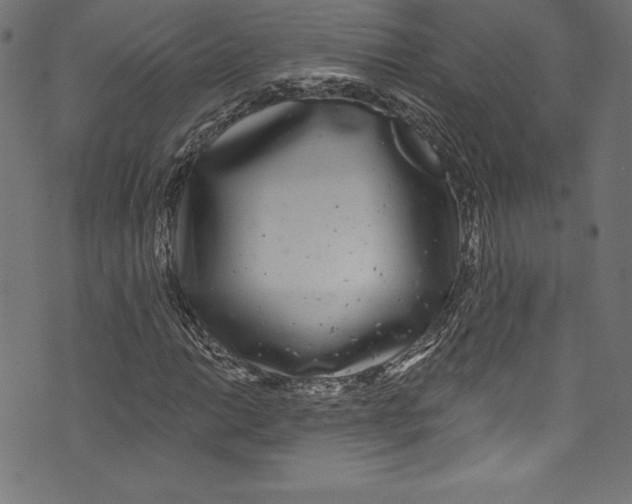 X0000072971014200608211316