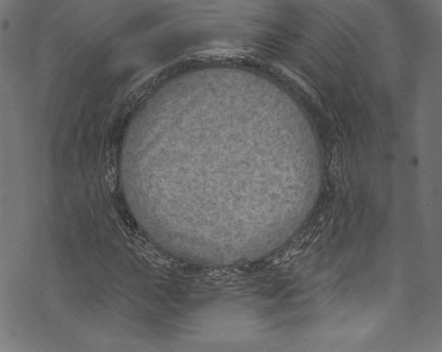 X0000072971015200608211316