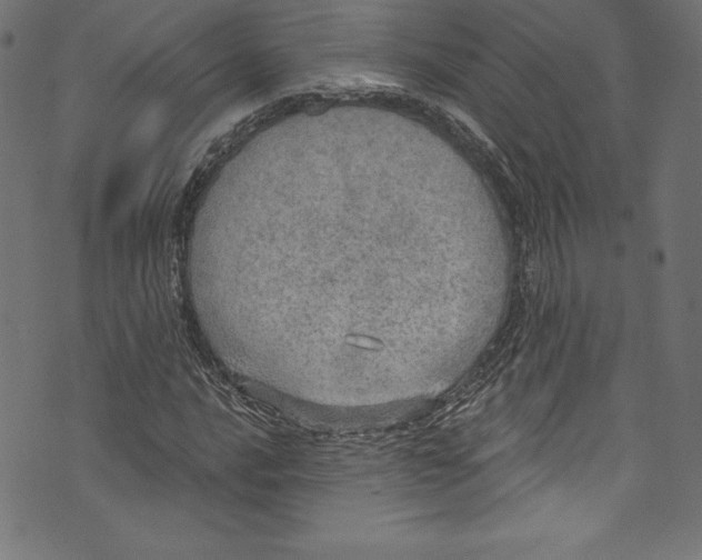 X0000072971016200608211316