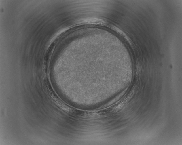 X0000072971019200608211316