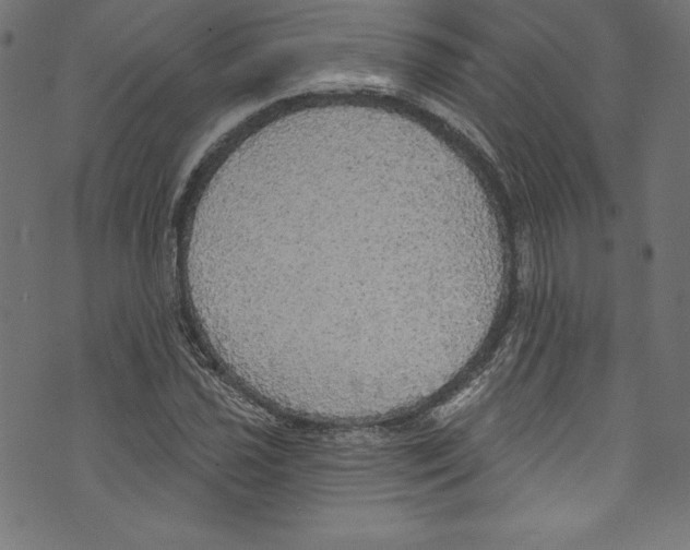 X0000072971021200608211316