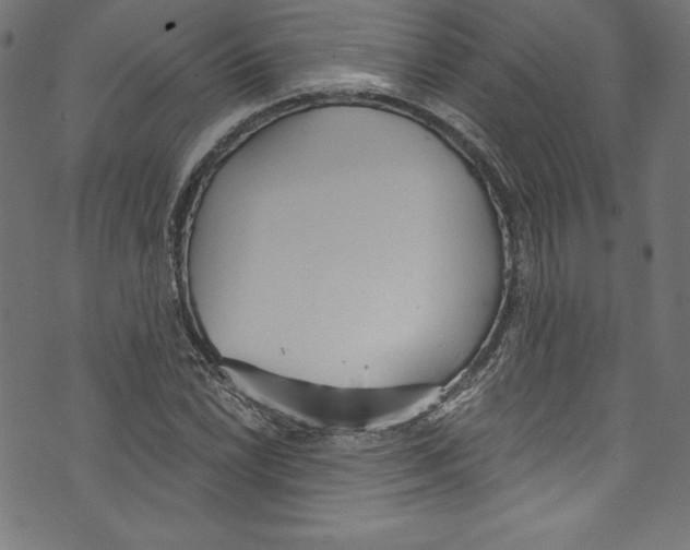 X0000072971022200608211316