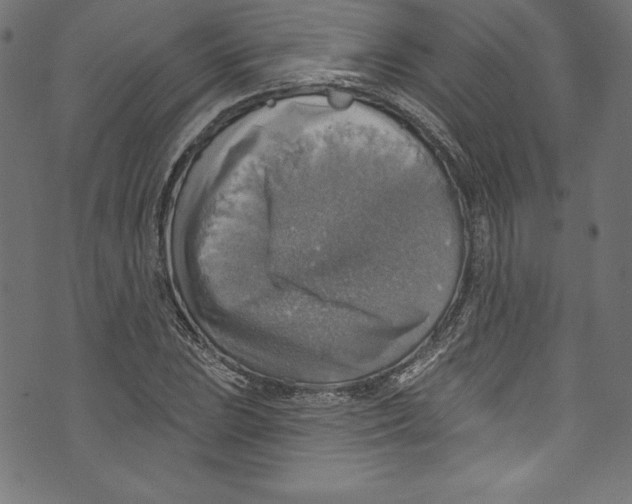 X0000072971023200608211316