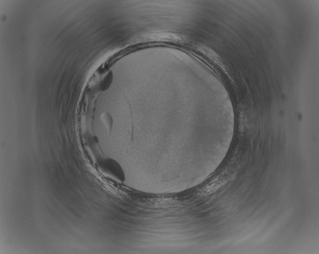 X0000072971024200608211316