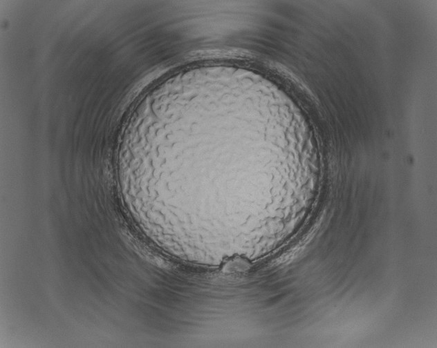 X0000072971025200608211316