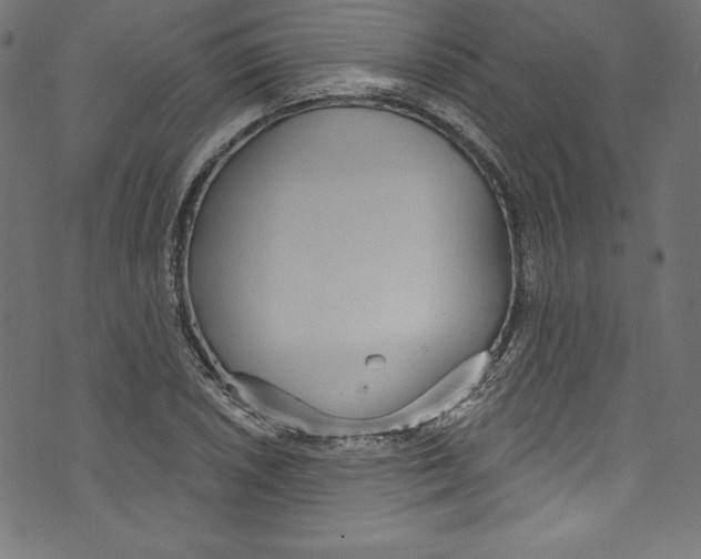 X0000072971026200608211316