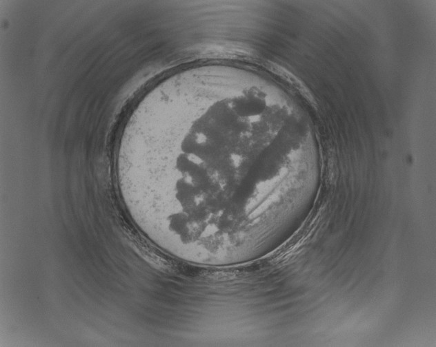 X0000072971027200608211316