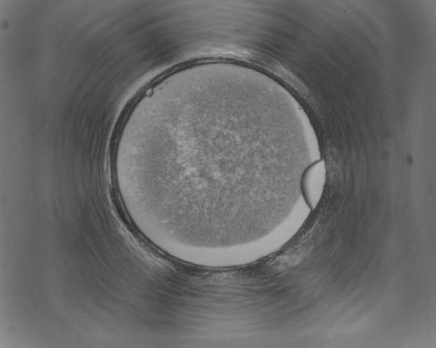 X0000072971028200608211316