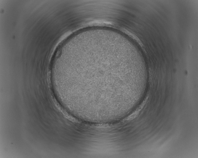 X0000072971029200608211317